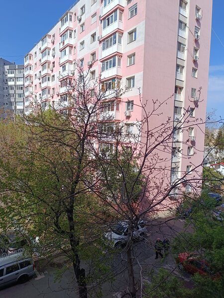 Apartament 2 Camere | Dristor | Confort 2 | 40 MP