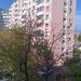 Apartament 2 Camere | Dristor | Confort 2 | 40 MP